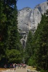 yosemite-09264