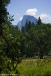 yosemite-09286