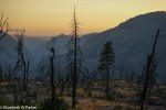 yosemite-09309