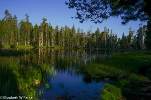 Siesta Lake - on the Tioga Road, Yosemite National Park