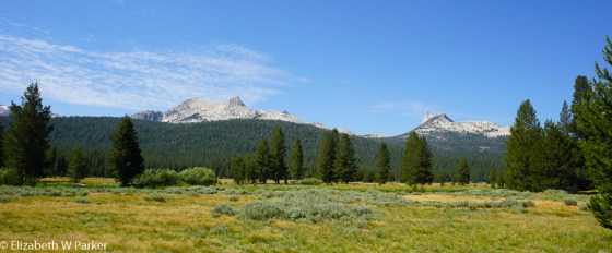 Tuolumne Meadows with the Cathedral range in the background.