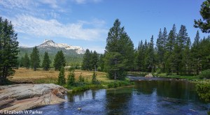 Tuolumne Meadows