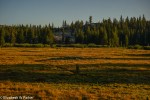 yosemite-09909