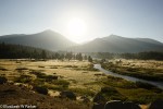 yosemite-09929