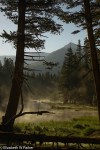 yosemite-09941