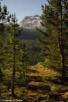 yosemite-09975