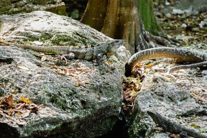 Playa del Carmen, Mexico
